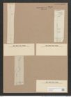 Synedra acus var. delicatissima (W. Sm.) Grun. (de-Toni-Nr.: Genus 66, Species 2590) Zeichnungen Sammlung Grunow Nr. 5278 (NHMW-BOT-W0373662)